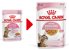 Royal Canin Kitten Sterilised (желе)